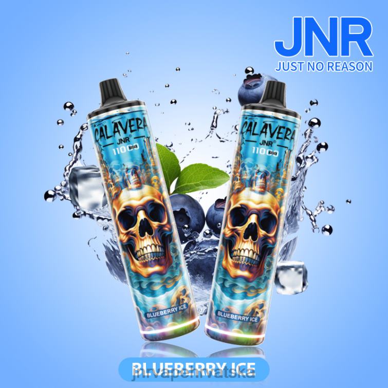 JNR VAPE HRVATSKA | jnr calavera led od borovnice 4JD0J292