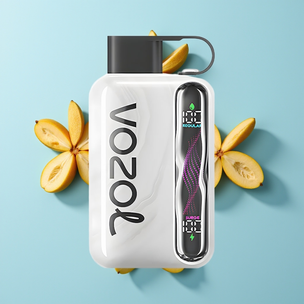 VOZOL STAR 40000 Puffs Disposable Vape Duhan, 1000mAh