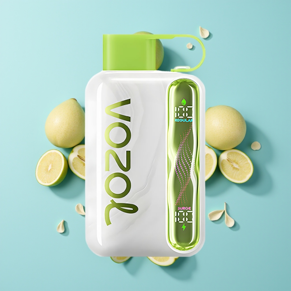 VOZOL STAR 40000 Puffs Disposable Vape Hladna Metvica s 20/50mg/ml Nikotina