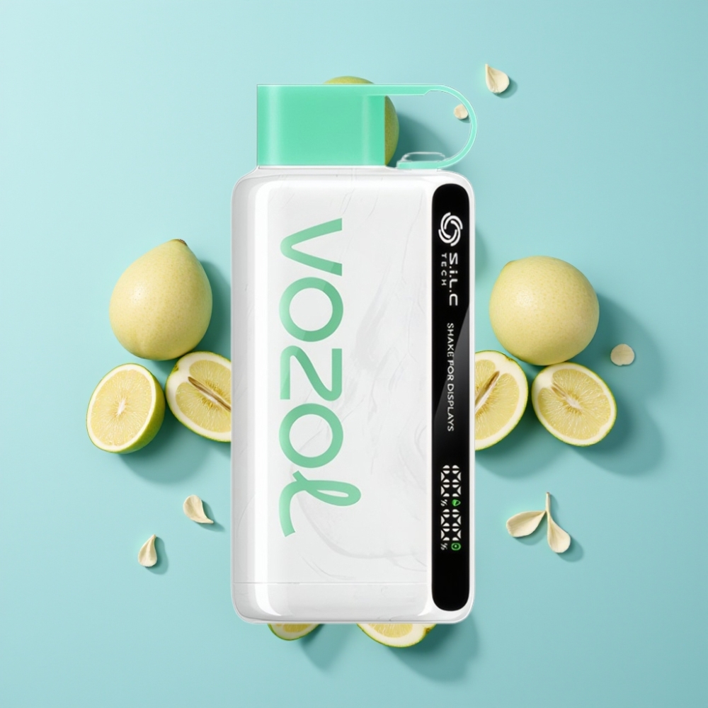 VOZOL STAR 9000/12000 Disposable Vape Cool Mint 650mAh S.i.L.C TECH