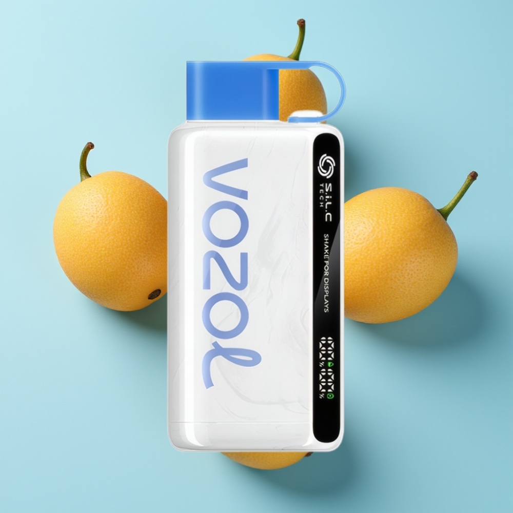 VOZOL STAR 9000/12000 Disposable Vape Vzbull 9000/12000 puffs 650mAh