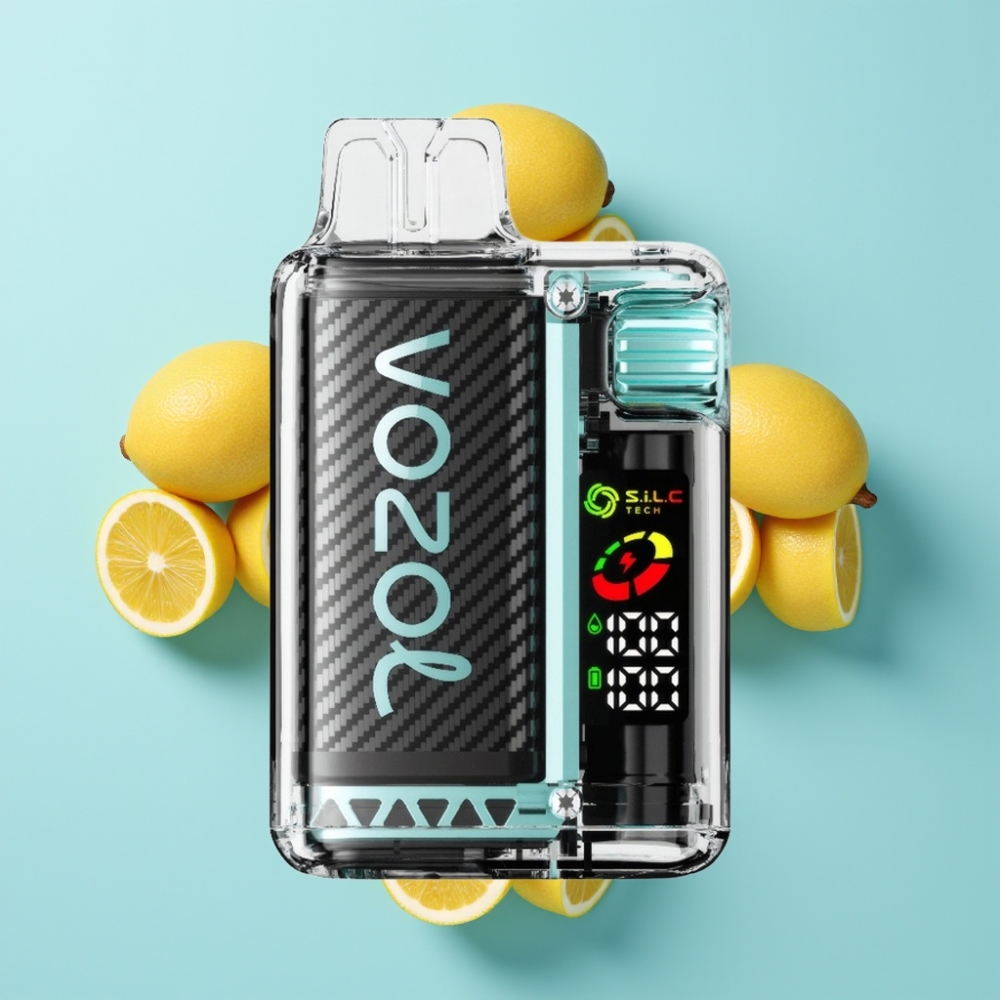 VOZOL Vista 20000 Puffs Miami Mint sa 650mAh baterijom i OLED ekranom