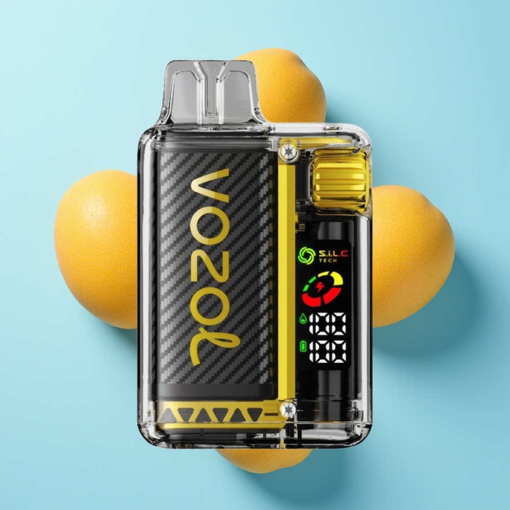 VOZOL Vista 20000 Puffs rechargable 650mAh mango led