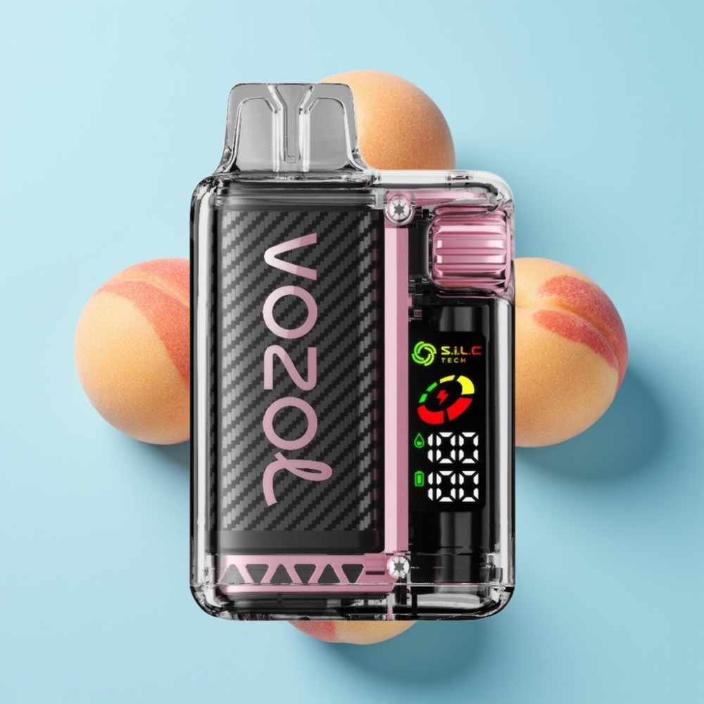 VOZOL Vista 20000 Puga punjiva baterija 650mAh breskva led