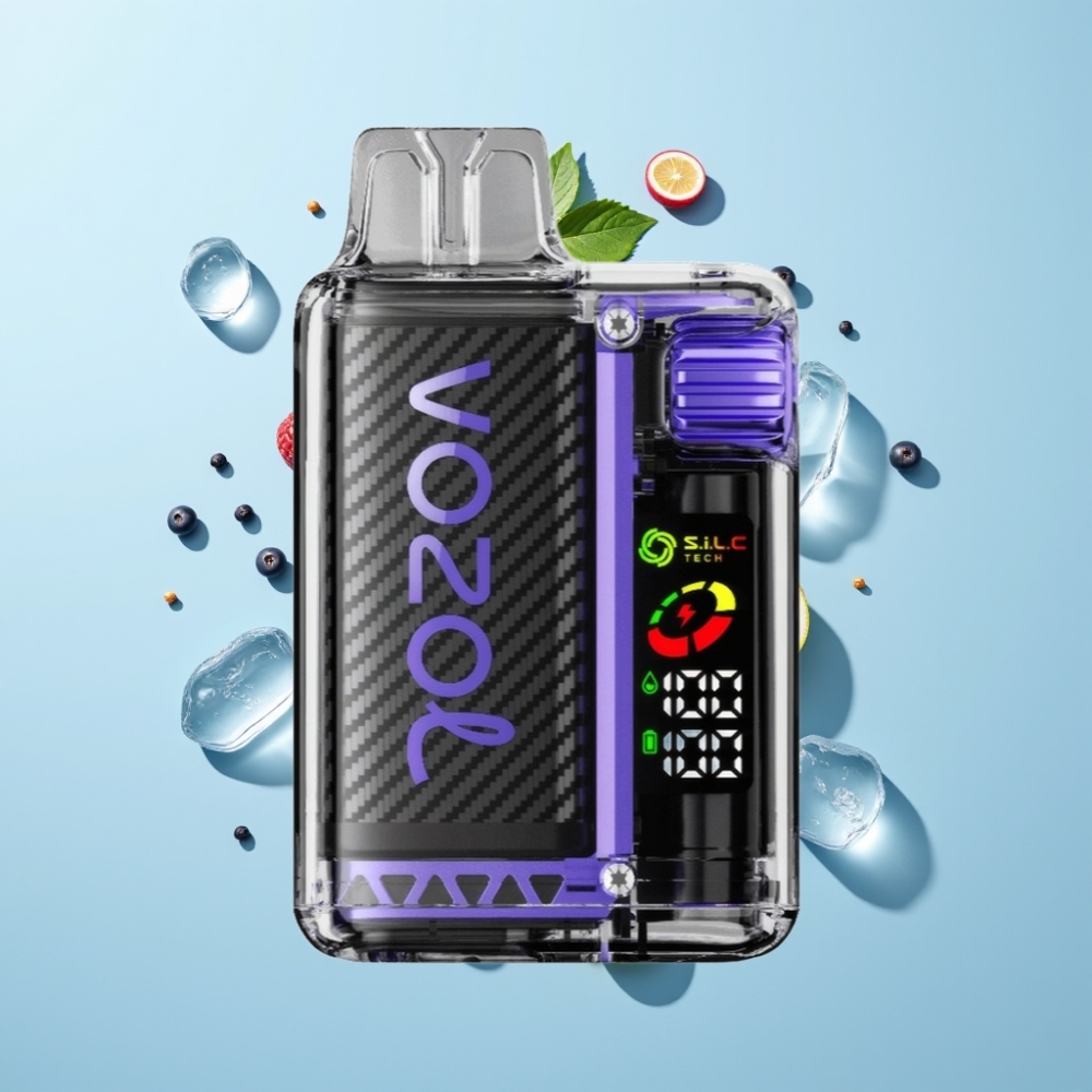 VOZOL Vista 20000 Puniš s OLED zaslonom i 650mAh baterijom