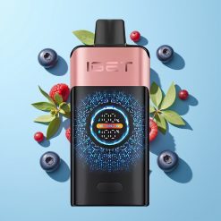 IGET ONE 12000 Puffs Disposable Vape Borova Jagoda Malina 2700 mAh