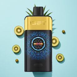 IGET ONE 12000 Puffs Disposable Vape Kivi Ananas 2700 mAh