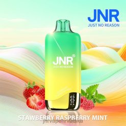 JNR VAPE FLAVOURS | jnr duga jagoda malina menta 4JD0J268