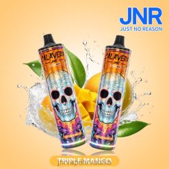 JNR VAPE HRVATSKA | jnr calavera trostruki mango 4JD0J302