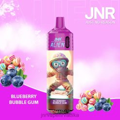 JNR VAPE | jnr izvanzemaljac žvakaća guma od borovnice 4JD0J160