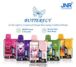 JNR VAPE | jnr leptir žvakaća guma od borovnice 4JD0J60