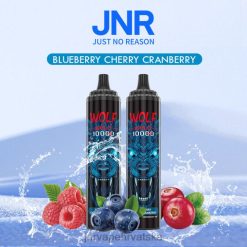 JNR VAPE PODS | jnr vuk niplo borovnica trešnja brusnica 4JD0J359